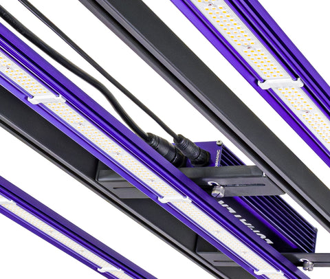 Lumatek Zeus 300W Pro Led 3.1