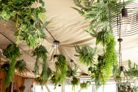 So planst, strukturierst und pflegst du deine Growbox für maximale Erträge