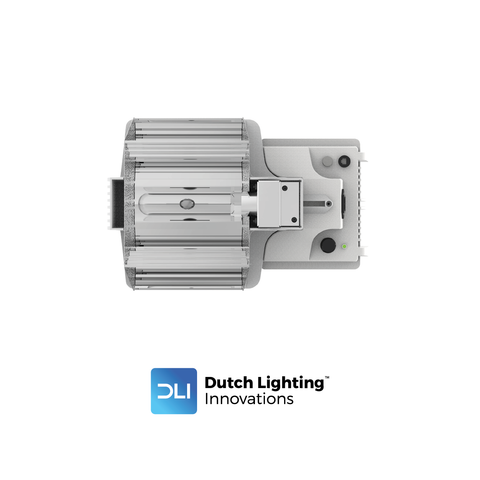DLI CRI Series 315W/942 120/240V