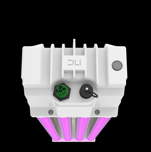 DLI ZENITH Series Toplight 900FS DC WB