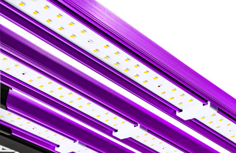 Lumatek ATS 300W Pro LED