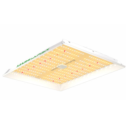 Bundle: Growzelt 80x80x200cm + Mars Hydro TS 1000
