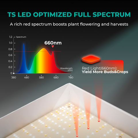 Mars Hydro TS1000 LED