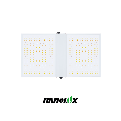 Nanolux RG 300 LED