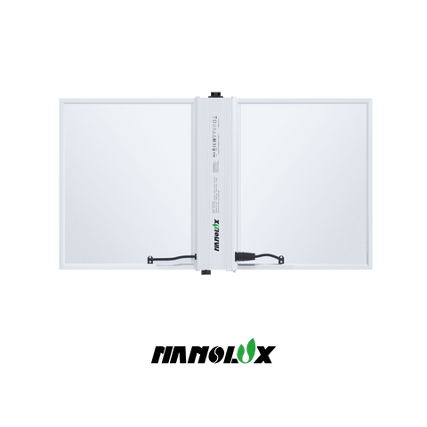 Nanolux RG 300 LED