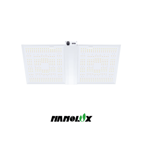 Nanolux RG 300 LED