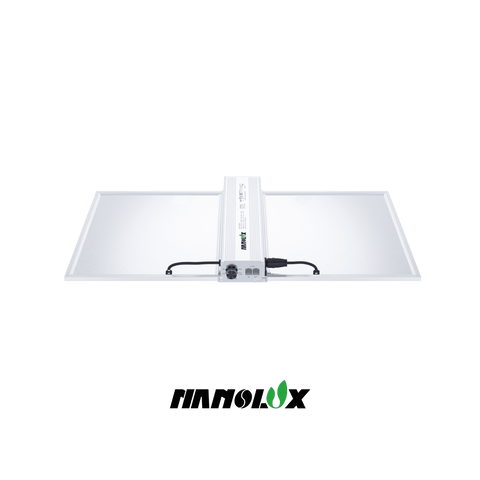 Nanolux RG 300 LED