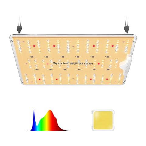 Bundle: Growzelt 80x80x200cm + SF 1000D LED