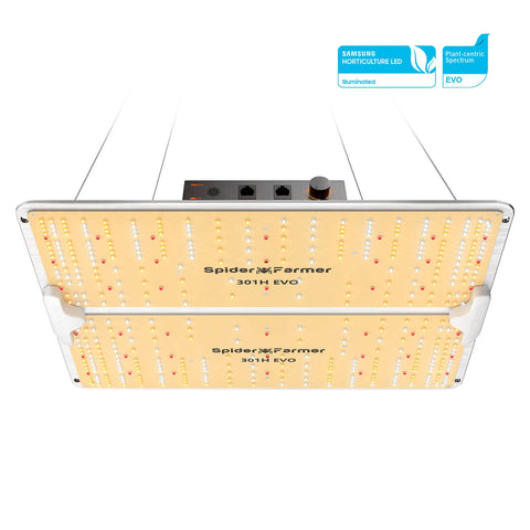 Bundle: Growzelt 80x80x200cm + SF 2000 Pro LED