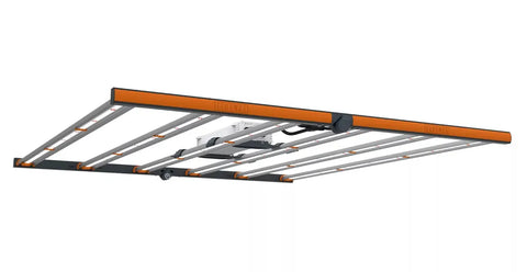 Fluence Spydr Fang LED