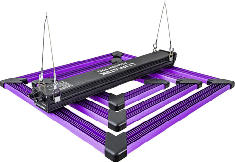 Bundle: Growzelt 80x80x200cm + Lumatek ATS 300W Pro LED