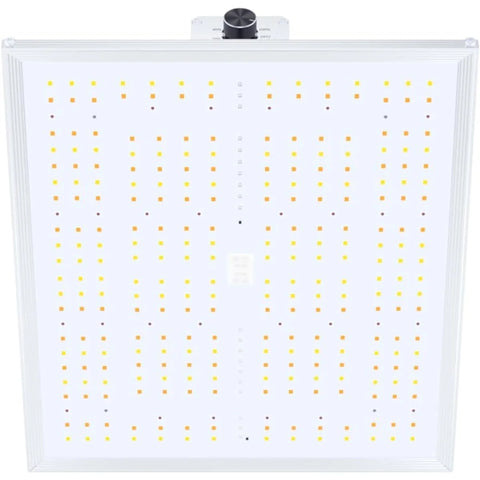 Nanolux RG 300 LED