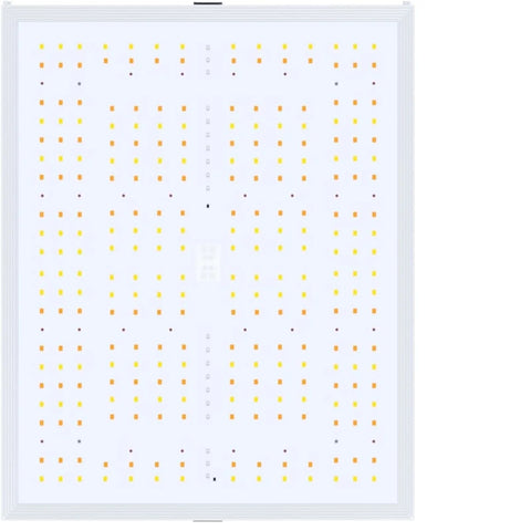 Nanolux RG 300 LED